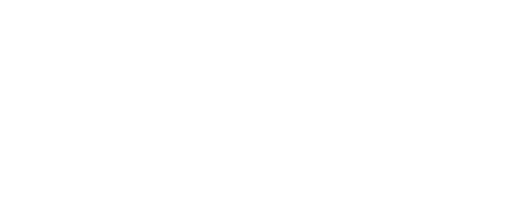 Wayne Data Insight - White Logo